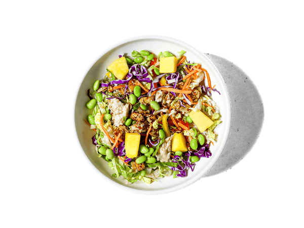 Chinese Organic Chicken Salad