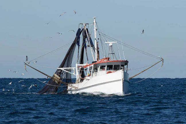 Monterey Fish Market Banner