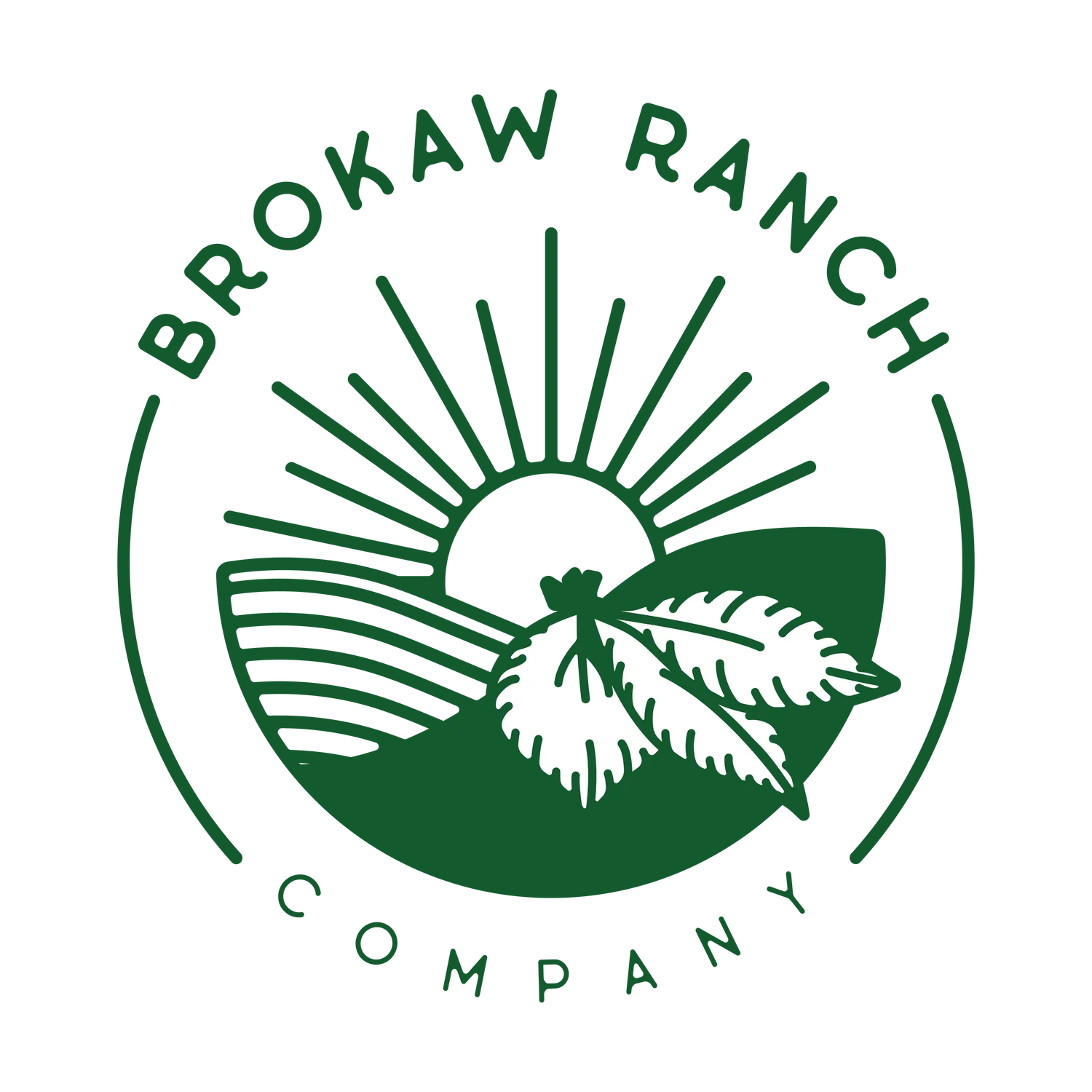 Brokaw Organic Avocado